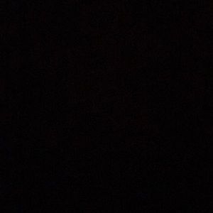 Meet your Posher, Brady